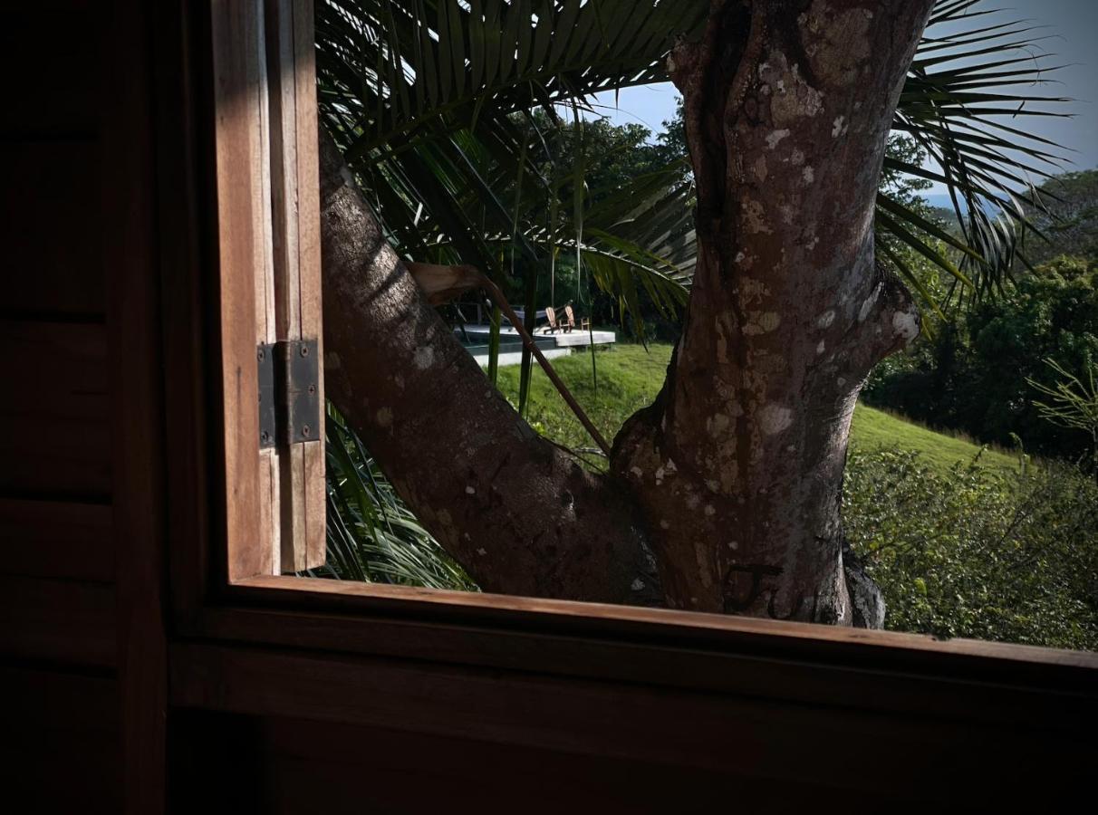 Calamocha Lodge Playa Santa Teresa  Εξωτερικό φωτογραφία
