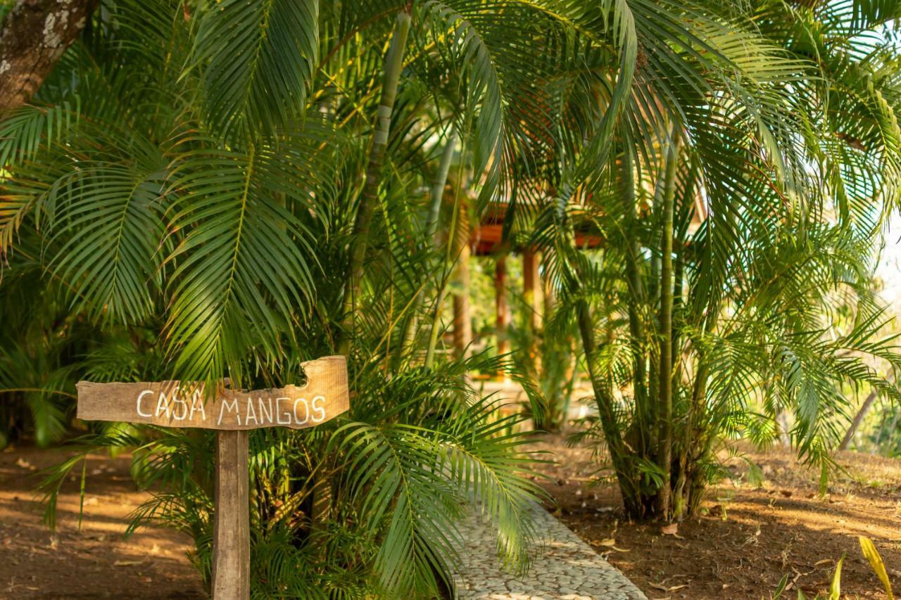 Calamocha Lodge Playa Santa Teresa  Εξωτερικό φωτογραφία